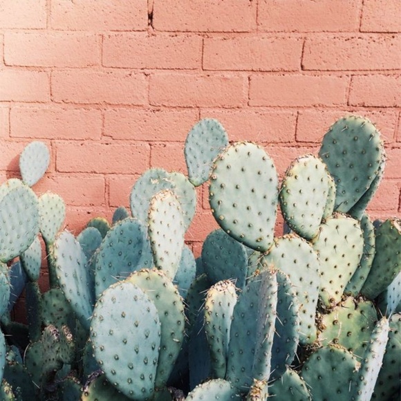 Meet your Posher, Juli - Picture 3 of 3